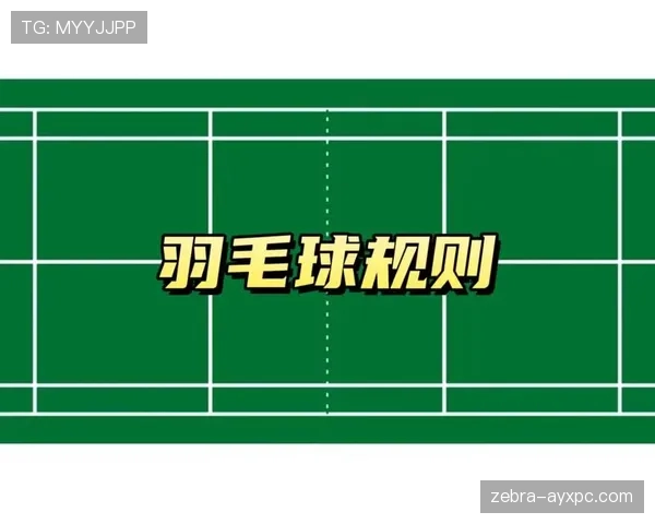 新手必看：运球规则详解与常见错误示范